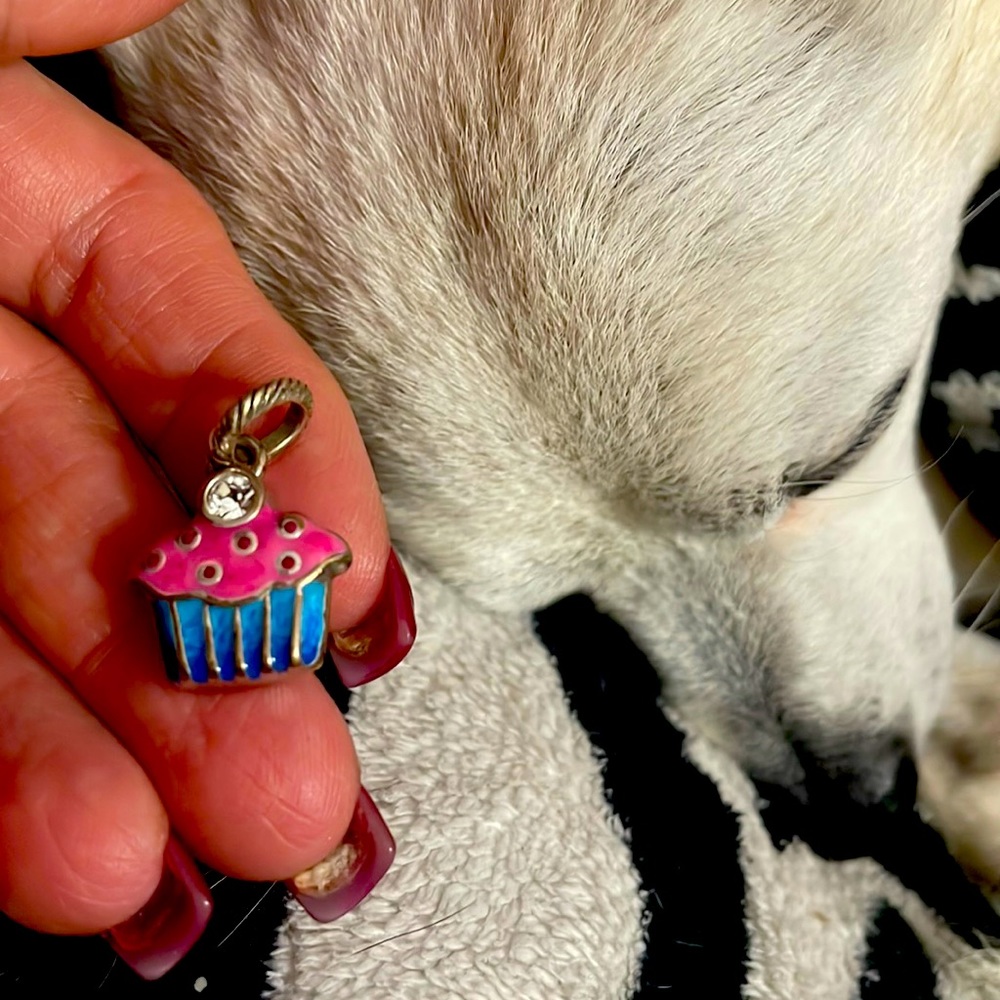 Brighton Cupcake Charm